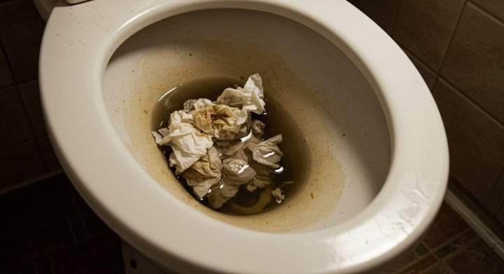 WC bouchés